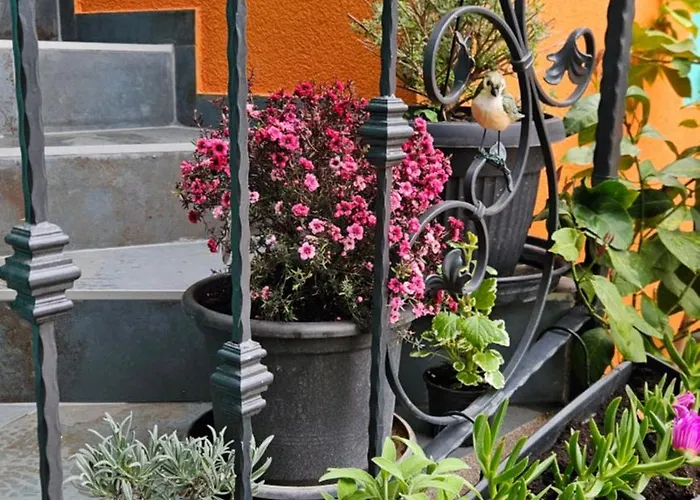 Apartment Mexicana Blue