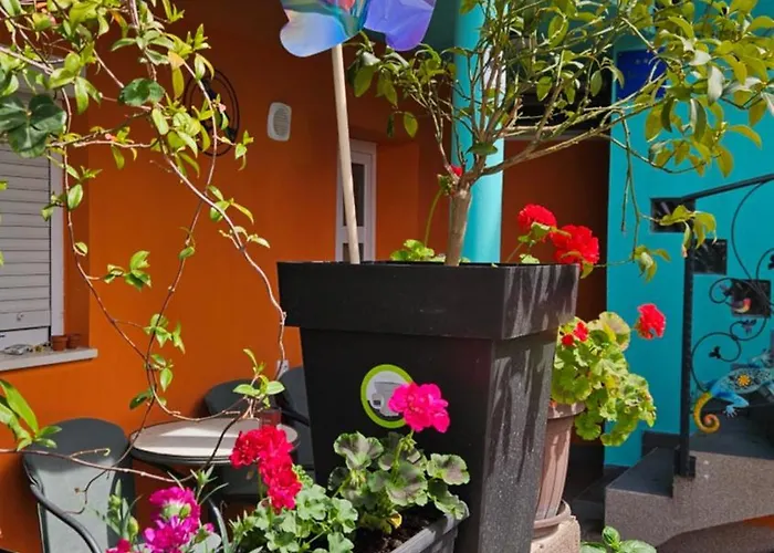 Mexicana Blue Apartment