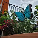 Apartman Mexicana Blue *