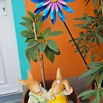 Mexicana Blue Apartman *