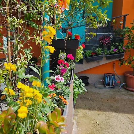 Apartmán Mexicana Blue Zadar