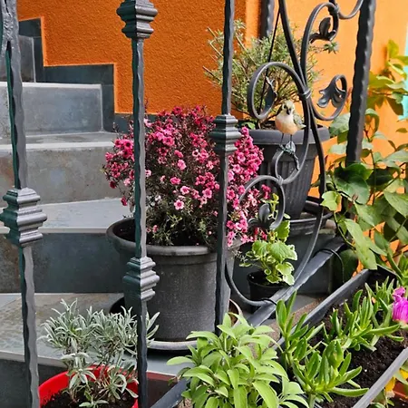 Appartement Mexicana Blue