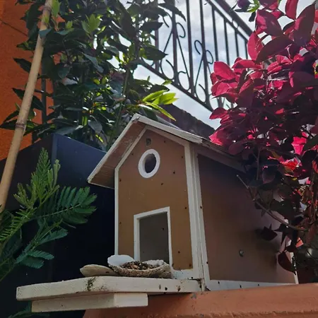 Mexicana Blue Apartment *