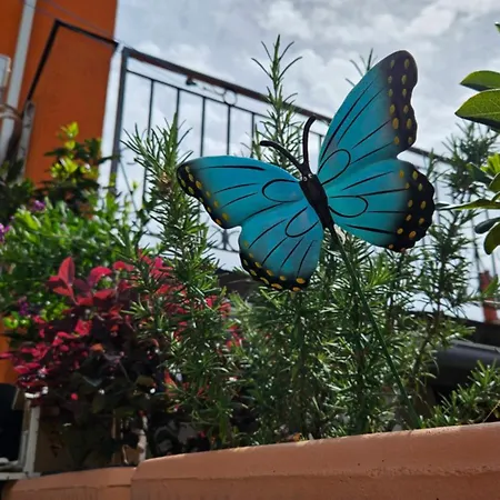 Apartmán Mexicana Blue *