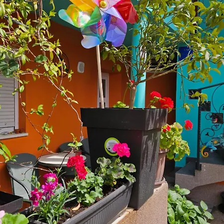 Mexicana Blue Apartment