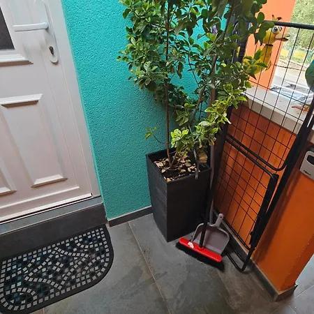 Apartament Mexicana Blue *