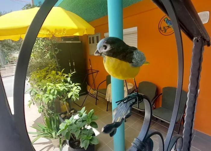 Mexicana Blue * Zadar