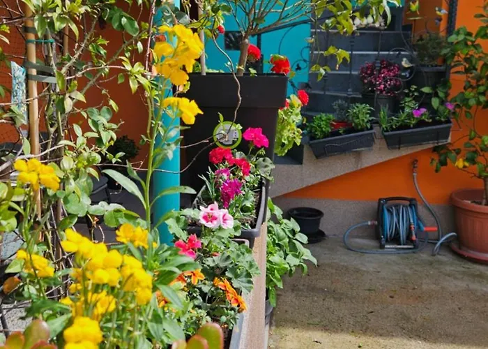 דירה Mexicana Blue זאדאר