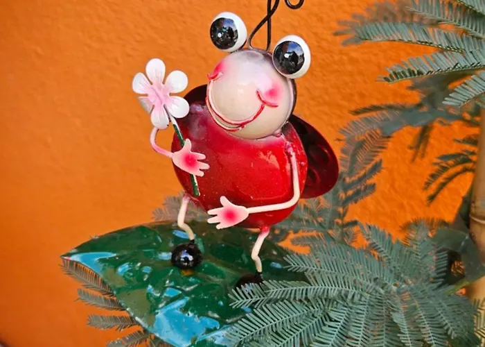 Mexicana Blue זאדאר