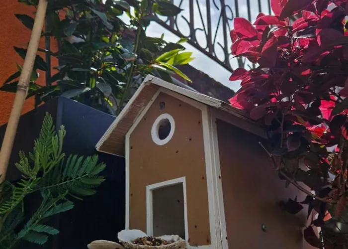 Mexicana Blue Lejlighed *