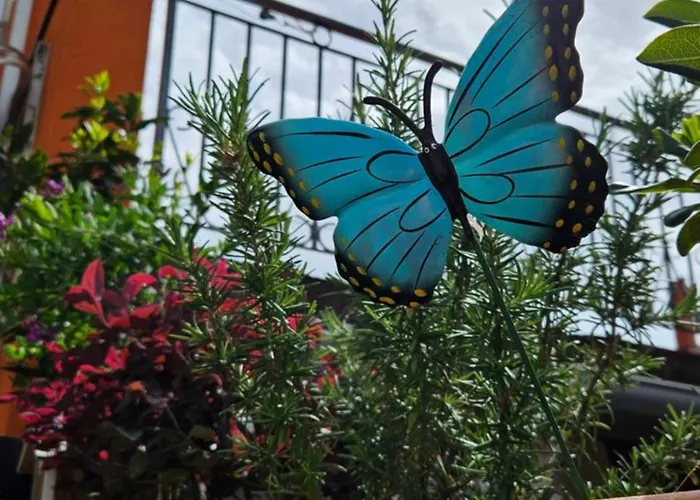 Lägenhet Mexicana Blue *